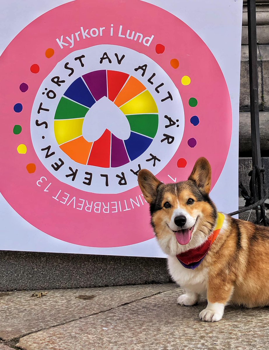 SpaceDeacon's tweet photo. @Phil_Sledge We celebrated Pride in the city where I serve as a cathedral deacon and my best buddy was happy sporting a pride scarf and herding the whole parade! :) https://t.co/vz9aUOLRo7