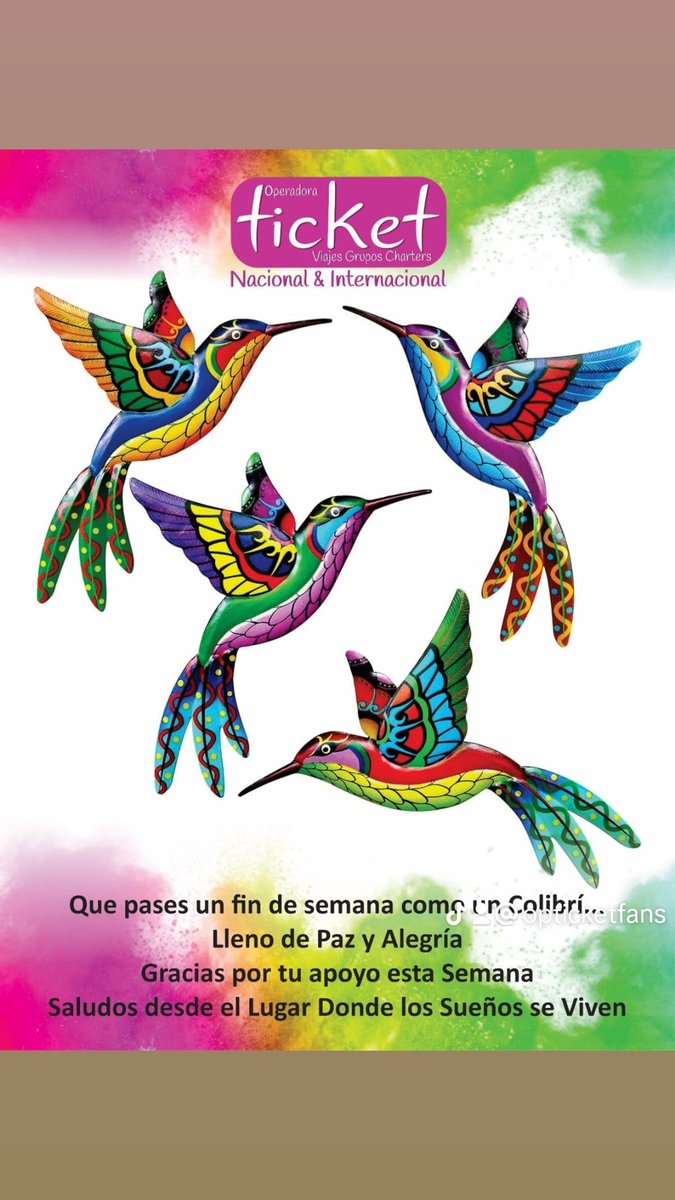 OPERADORA TICKET OFICIAL tweet media