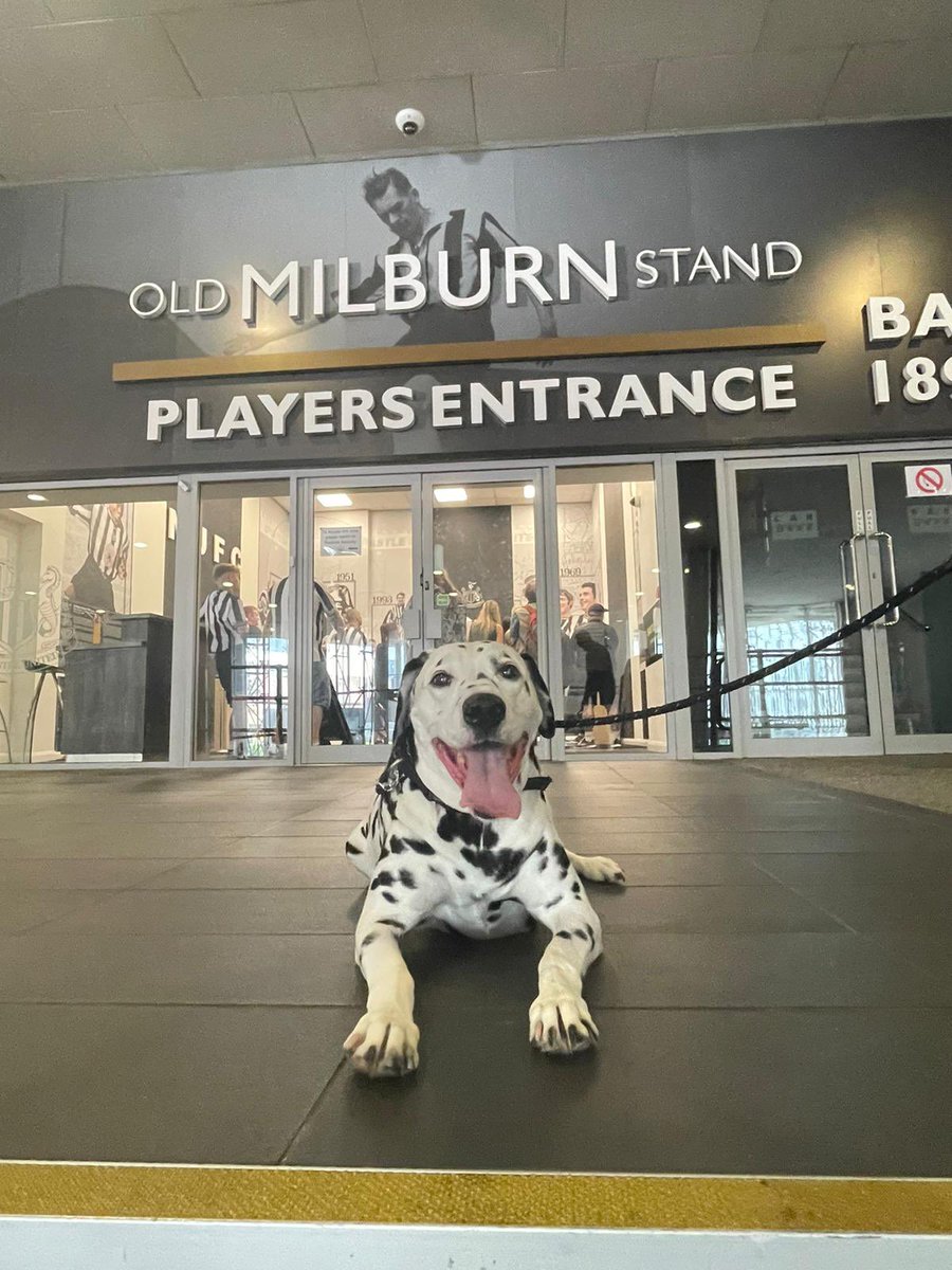 Julie Hamilton tweet media