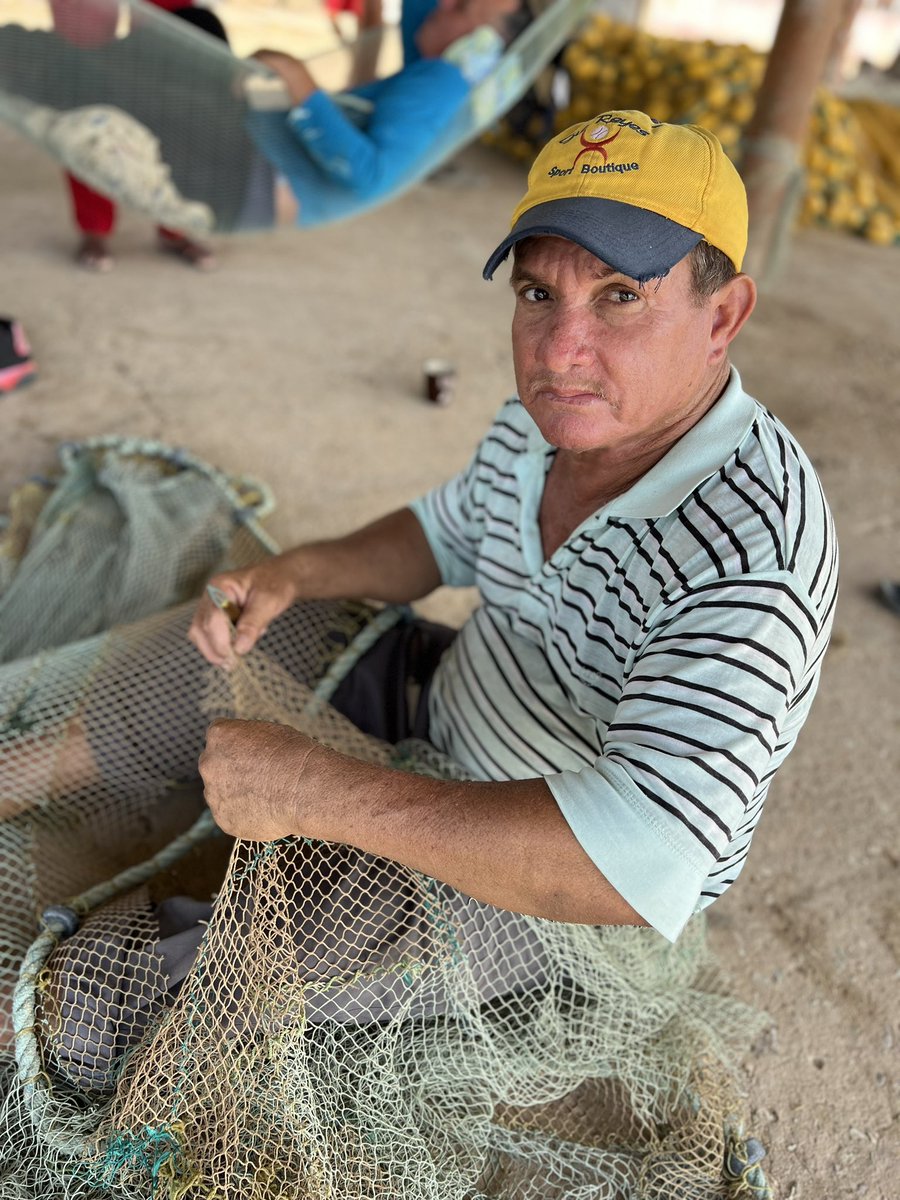 Pescadores indicaron que las siete ballenas orcas de alguna forma pedían ayuda para poder salvarse y que una de ellas, una bebé, lloraba de desesperación, lo cual los impulsó aún más para que dejaran todo miedo atrás.

<a href="/NicolasMaduro/">Nicolás Maduro</a>
<a href="/Jcloyo/">Juan Carlos Loyo</a> 
#YulimarEsVenezuela