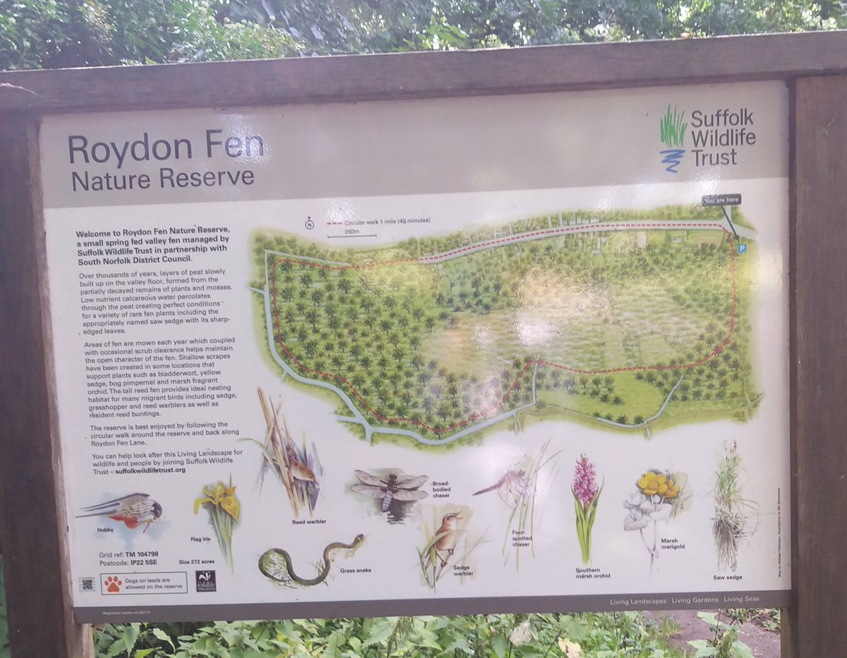 jfmwym's tweet photo. Enjoyed our walk around the beautiful Roydon Fen, near Diss today . https://t.co/K7maD72nOO
