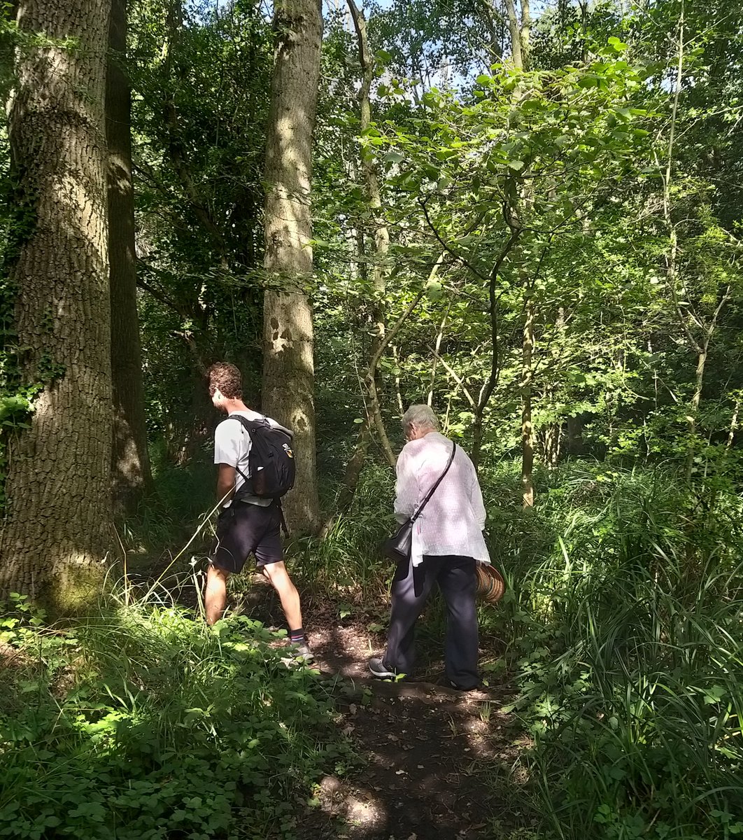 jfmwym's tweet photo. Enjoyed our walk around the beautiful Roydon Fen, near Diss today . https://t.co/K7maD72nOO