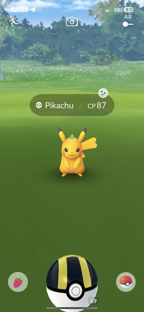 amadz00's tweet photo. another pika….😂 https://t.co/j3a0pGfO1U