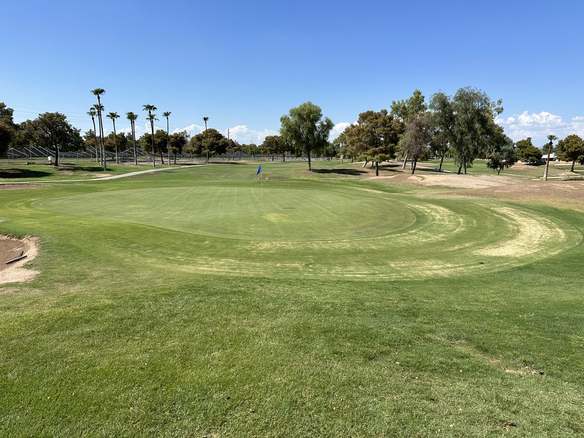 Birdie! #azgolf #SaturdayMorning