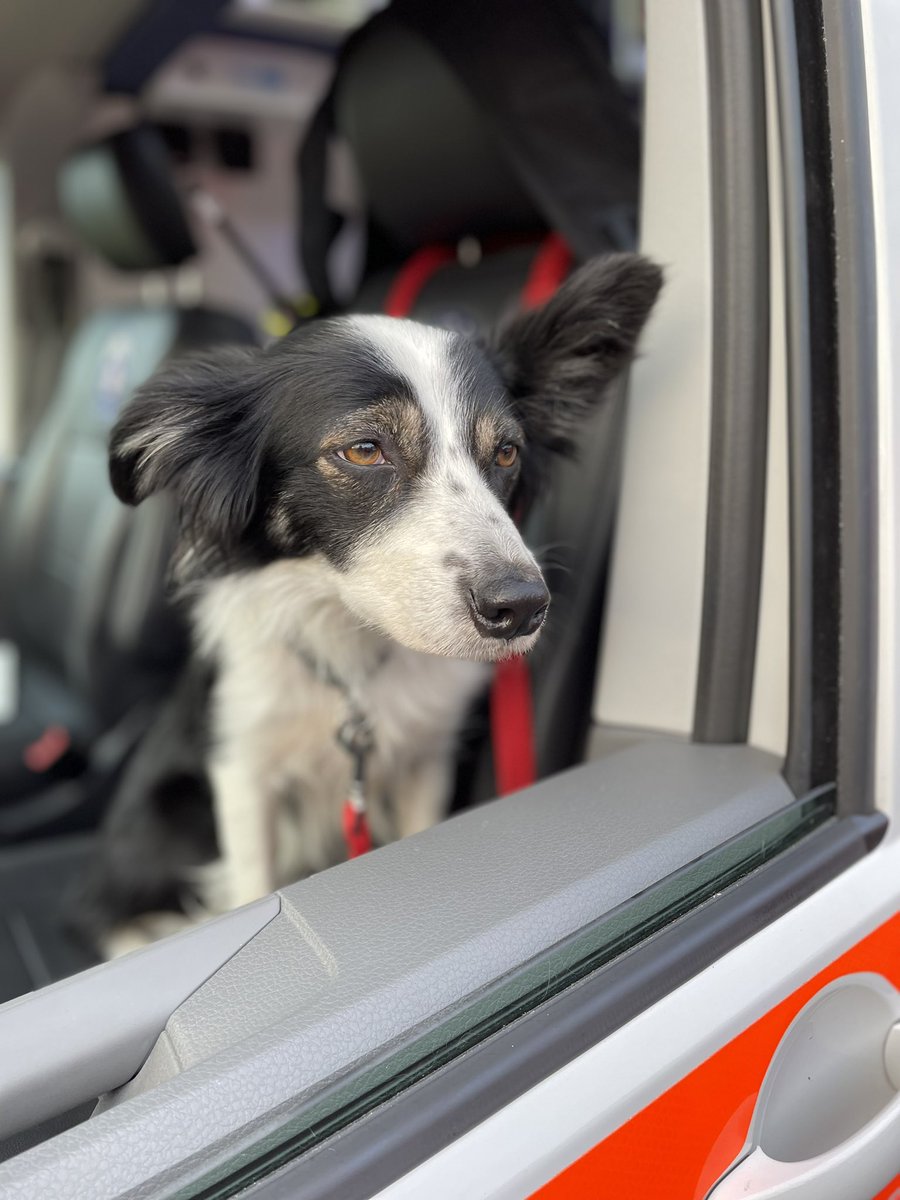 Holme Valley MRT tweet media