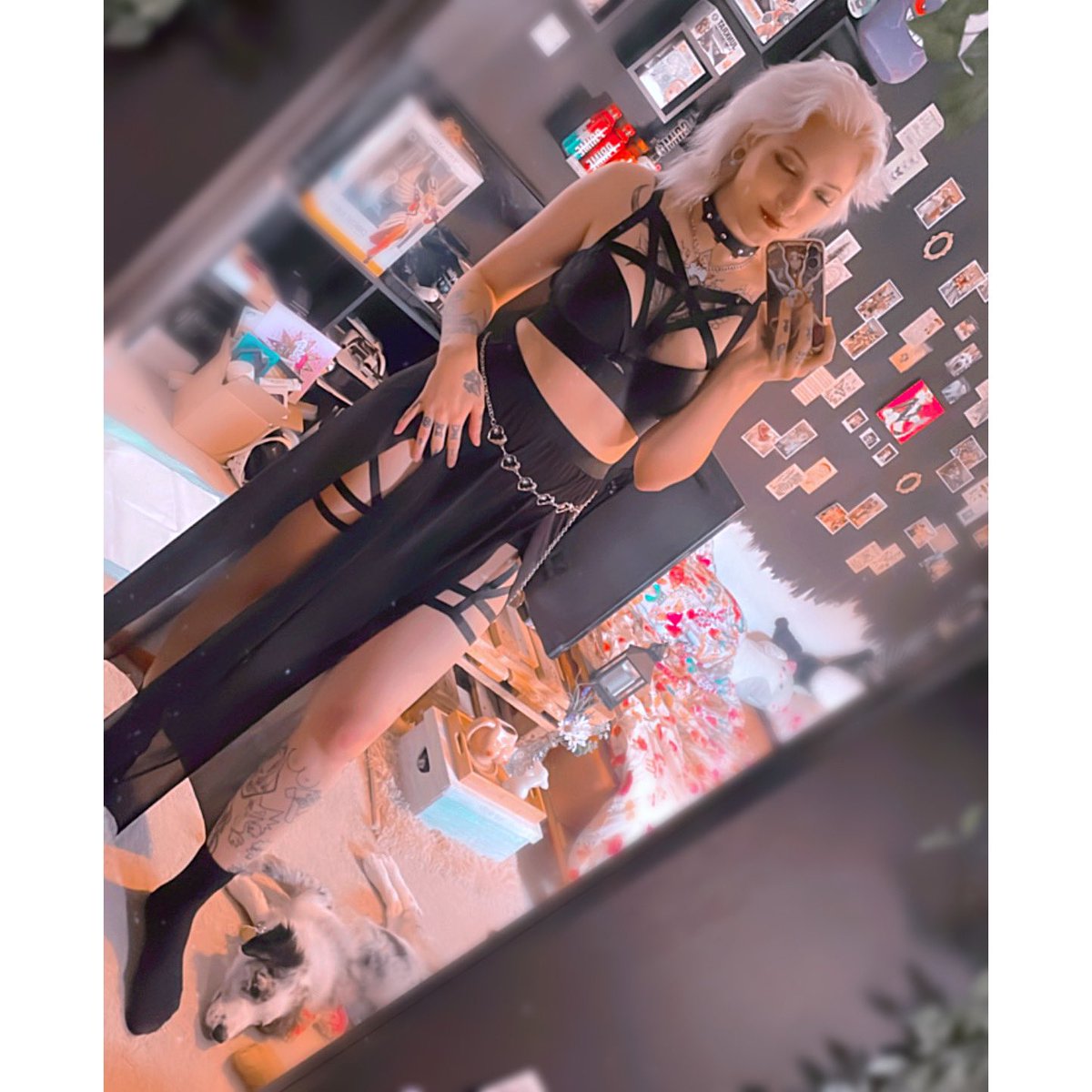 ThatBiteyThing's tweet photo. Pronouns: She/her
Height: 5"7
Shoe size: Women’s 6 UK
Weight: 55KG
Zodiac sign: Cancer ♋️🤍
Tattoos: 16 and counting baybeeee
Piercings: 10
Fave colors: white, green, black
Fave drink: purple mystery fanta🤤 https://t.co/81UqnjCj9f