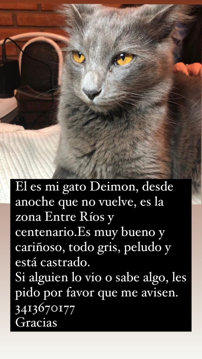 MorenaDenari's tweet photo. https://t.co/zqA4DwZ7TW