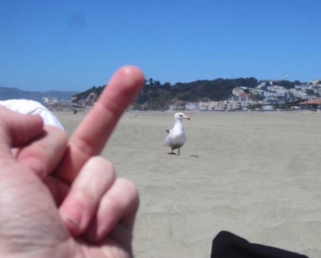 Ward- Prowse be like: