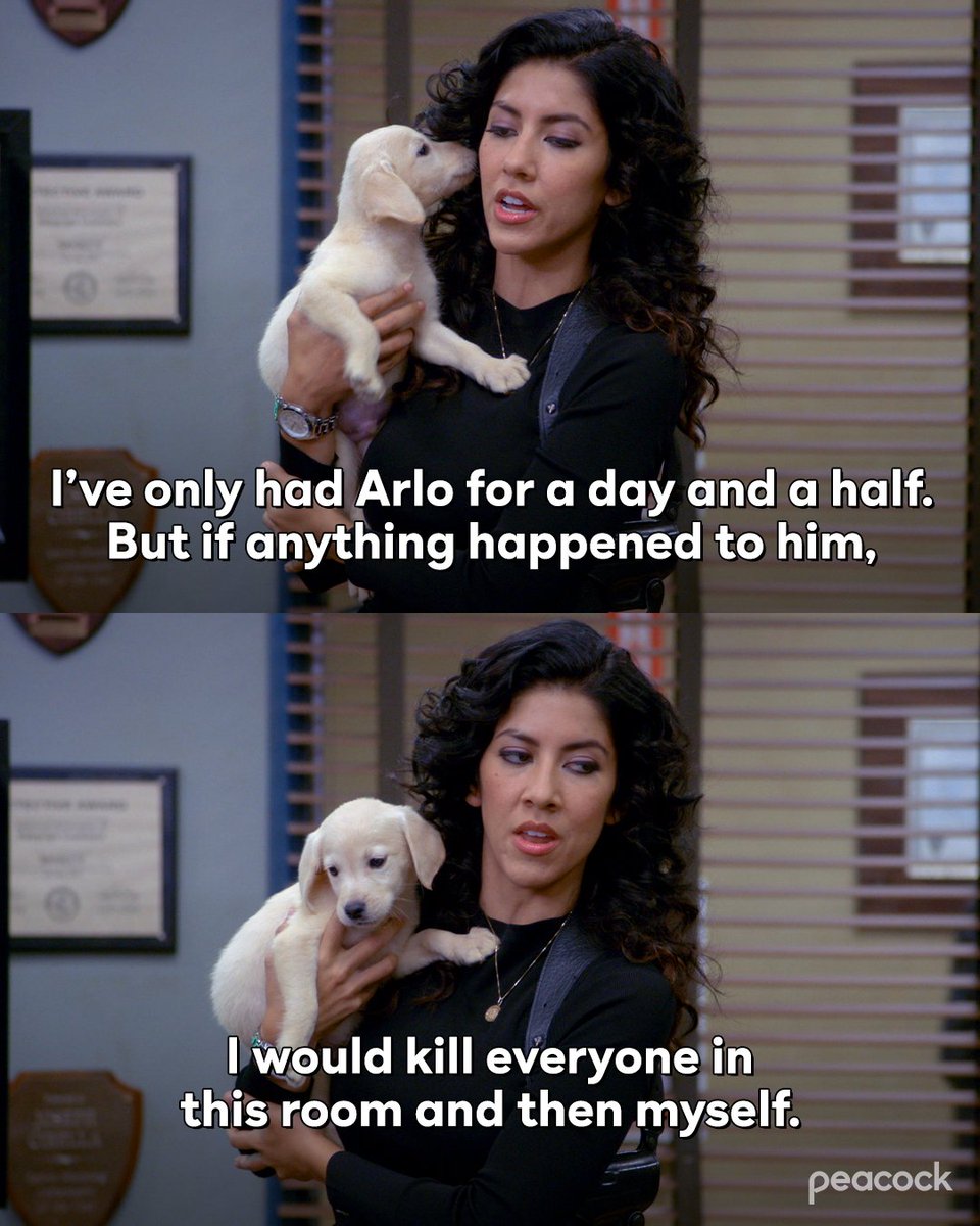 brooklyn99's tweet photo. An entirely reasonable reaction to any puppy. https://t.co/n1JNbzgNHM