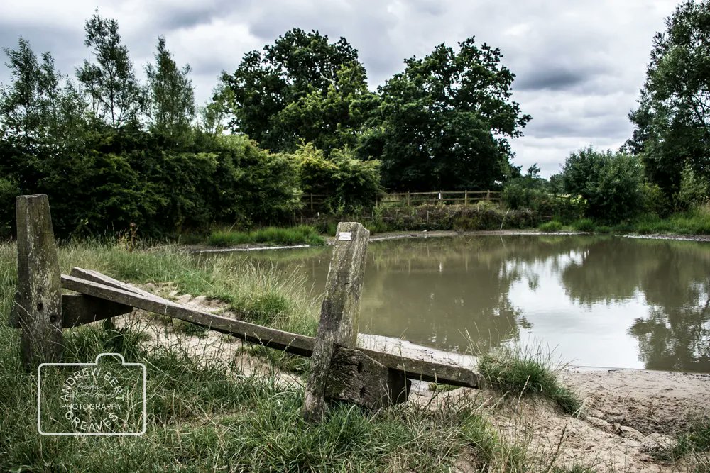 ABGreavesphoto's tweet photo. Southwick Country Park - 2015

#wiltshirelandscape #Nikon #southwickcountrypark #southwick #trowbridge #pond #bench #brokenbench #landscapephotography #wiltshire #photography #walking #landscape #nature #naturephotography #Wiltshirephotographer #cloud #clouds #sky https://t.co/uNOsciyz2C