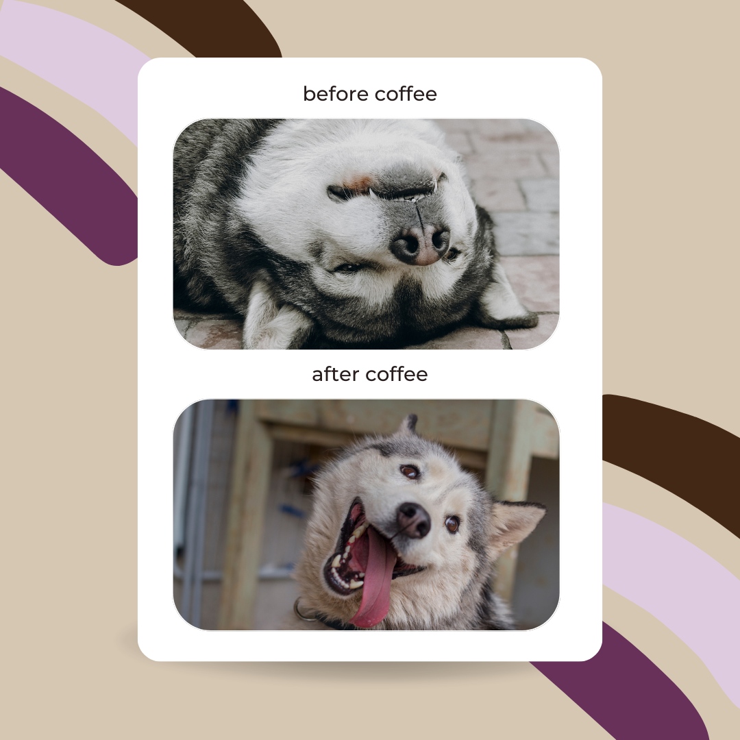 GrandviewGrind's tweet photo. Swing by for a cup and watch your day transform. #BetterWithCoffee https://t.co/7mk19Q7vPm