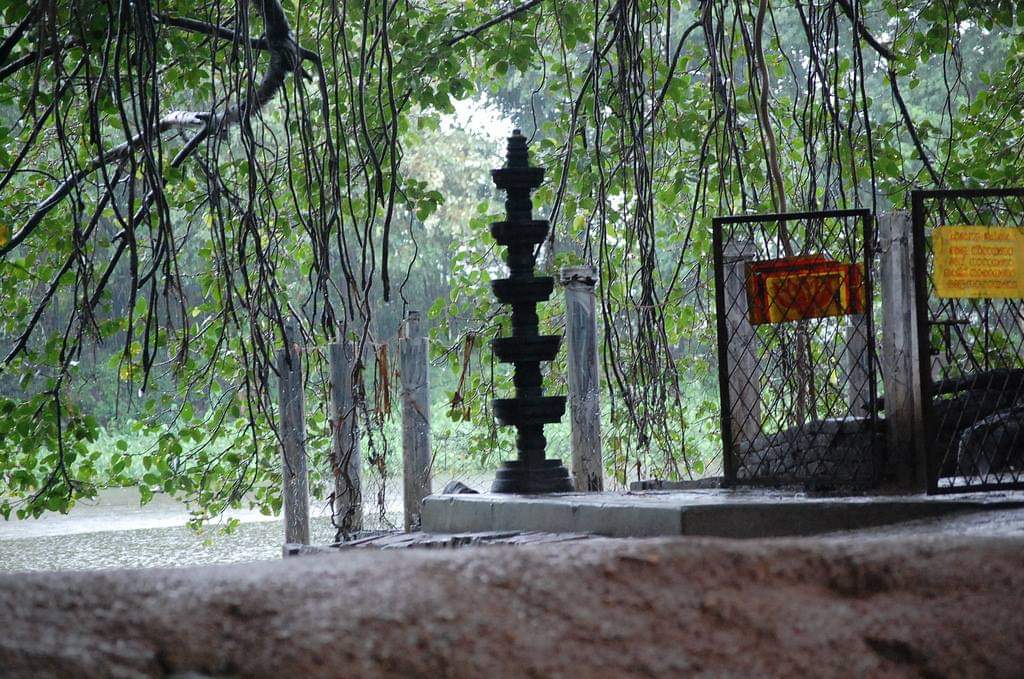 SajithSwami's tweet image. In a world where temples once stood as guardians of nature, a mind-bending twist has occurred. Behold the paradox: towering trees were once cradled by sacred temples, yet today, those very trees are felled to pave the way for new temples. 😲🛕 #TreesForLife