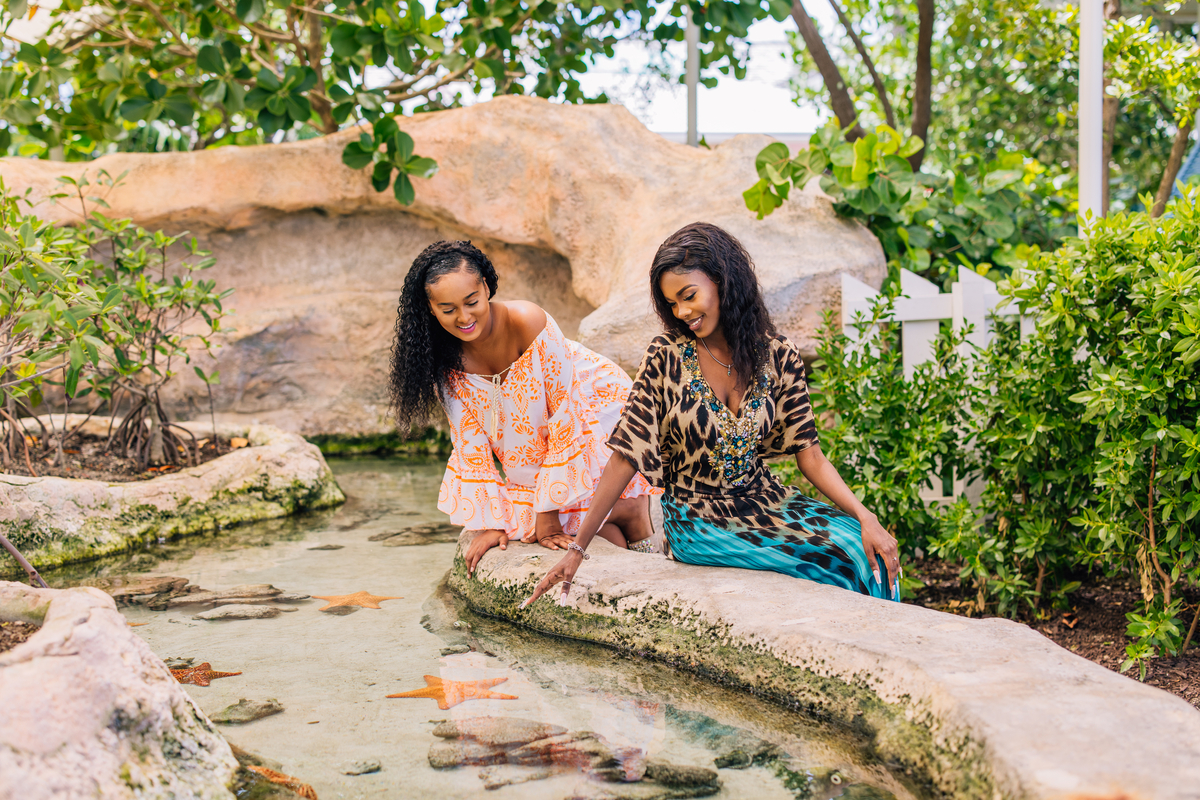 You’ll be starry-eyed over this experience. The Sanctuary offers animal feeding observations and touch tank demonstrations throughout the day.