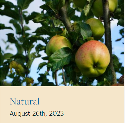 suzannegiesemann.com/natural-5/