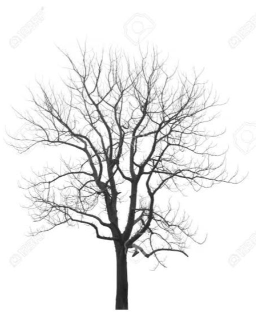 Shakhen rahi to Phool bhi patte Bhi aayege
Ye din agar bure hai to acche bhi aayege.