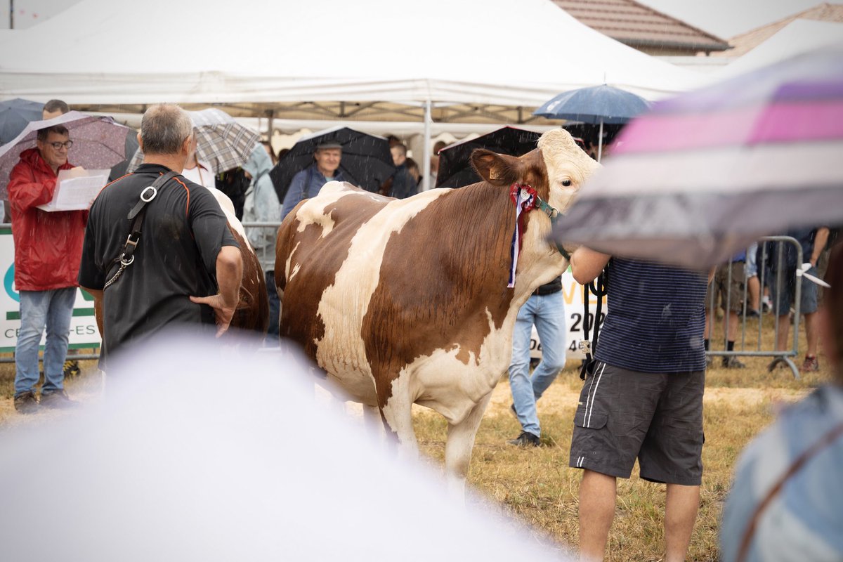 JPBARBIERISERE's tweet image. Présent au comice agricole de Châbons. Une traditionnelle rencontre qui permet de communiquer le savoir-faire et les valeurs d’une profession que nous défendons sans ambiguïté au @CDIsere.