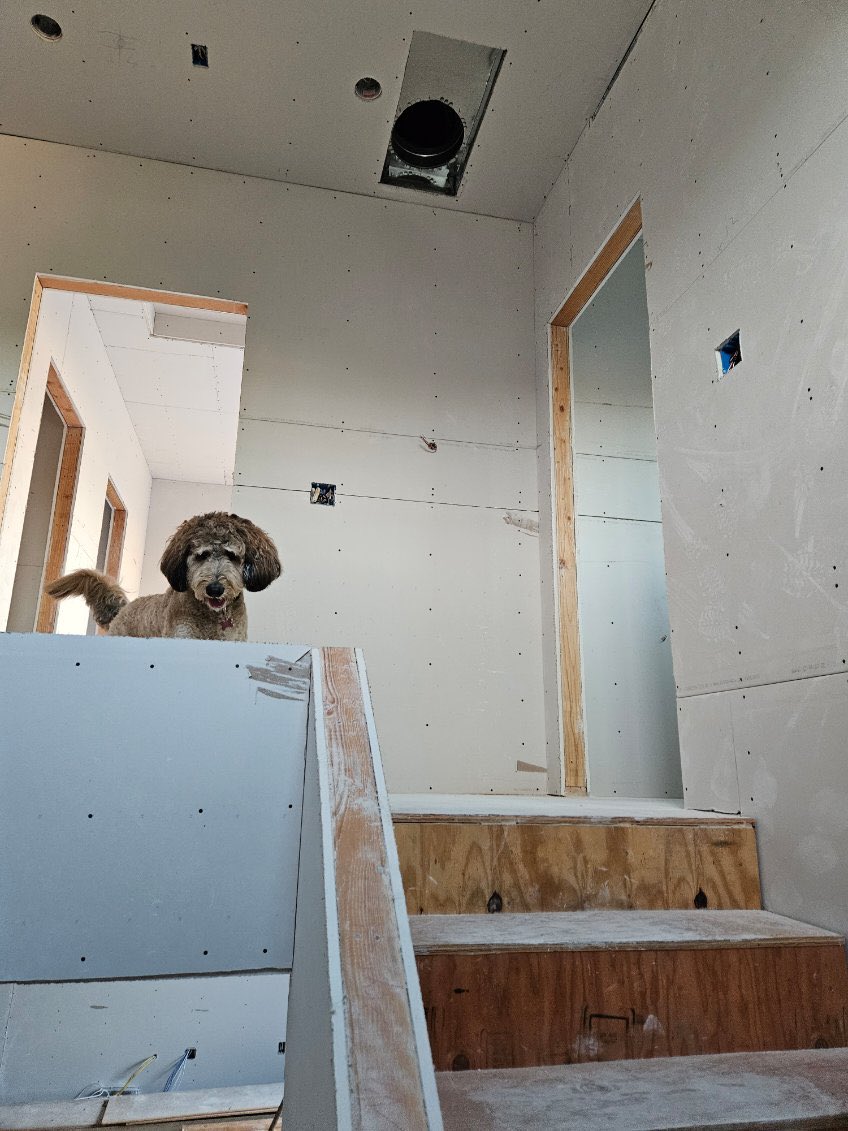 Bruce DD MacRae tweet media