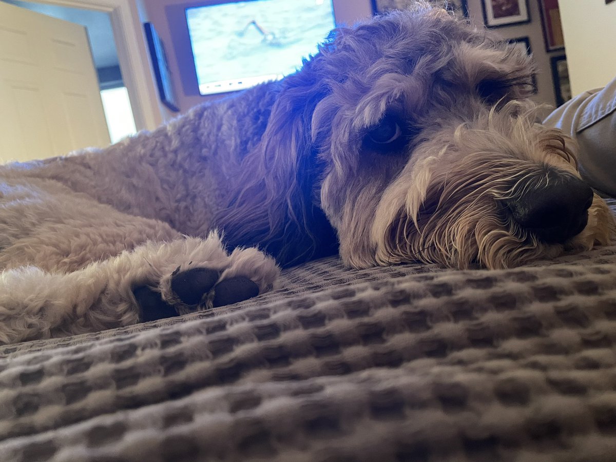 Bruce DD MacRae tweet media