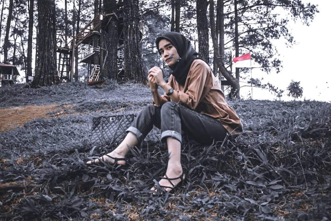 youtubeshare tweet media
