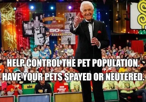 Bob Barker dies at 99 on National Dog Day, reminding the world to “have your pets spayed or neutered” one last time. #RIP #NationalDogDay