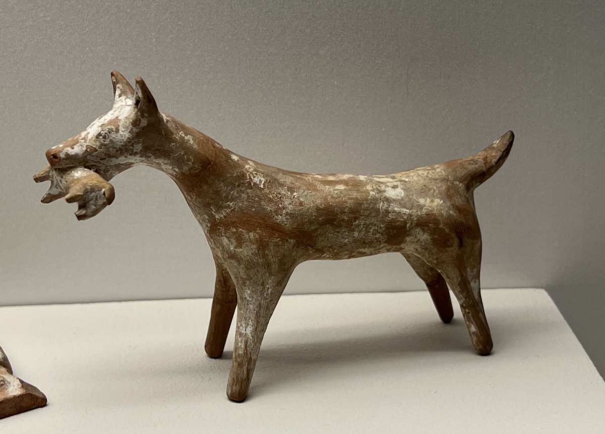 athertoncharvat's tweet photo. Around 2500 years ago these adorable terracotta dogs would have likely been someone’s treasured possessions. One a mother with her puppies, the other perhaps a successful retrieval of an errant pup. 
500 BC-450 BC
Boeotia, Greece
📷July
#Archaeology #InternationalDogDay https://t.co/gg9oIOM1Fq