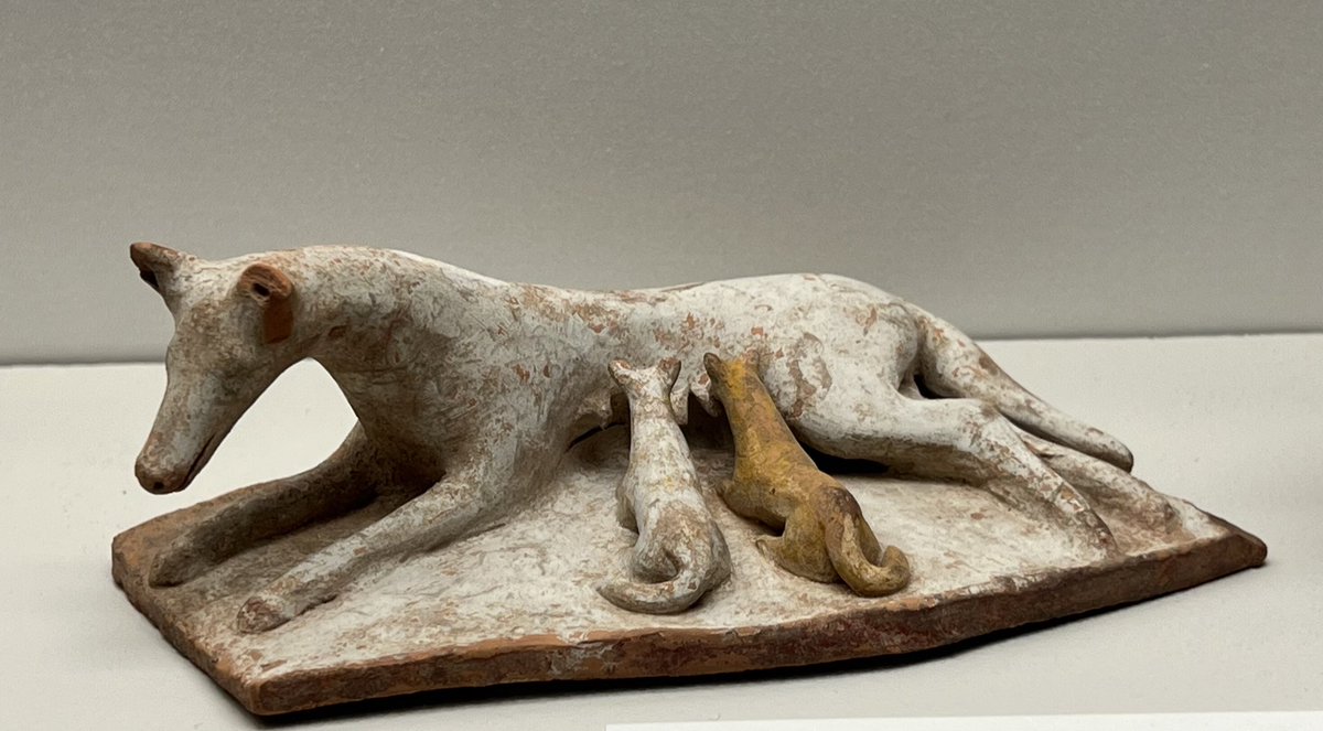 athertoncharvat's tweet photo. Around 2500 years ago these adorable terracotta dogs would have likely been someone’s treasured possessions. One a mother with her puppies, the other perhaps a successful retrieval of an errant pup. 
500 BC-450 BC
Boeotia, Greece
📷July
#Archaeology #InternationalDogDay https://t.co/gg9oIOM1Fq