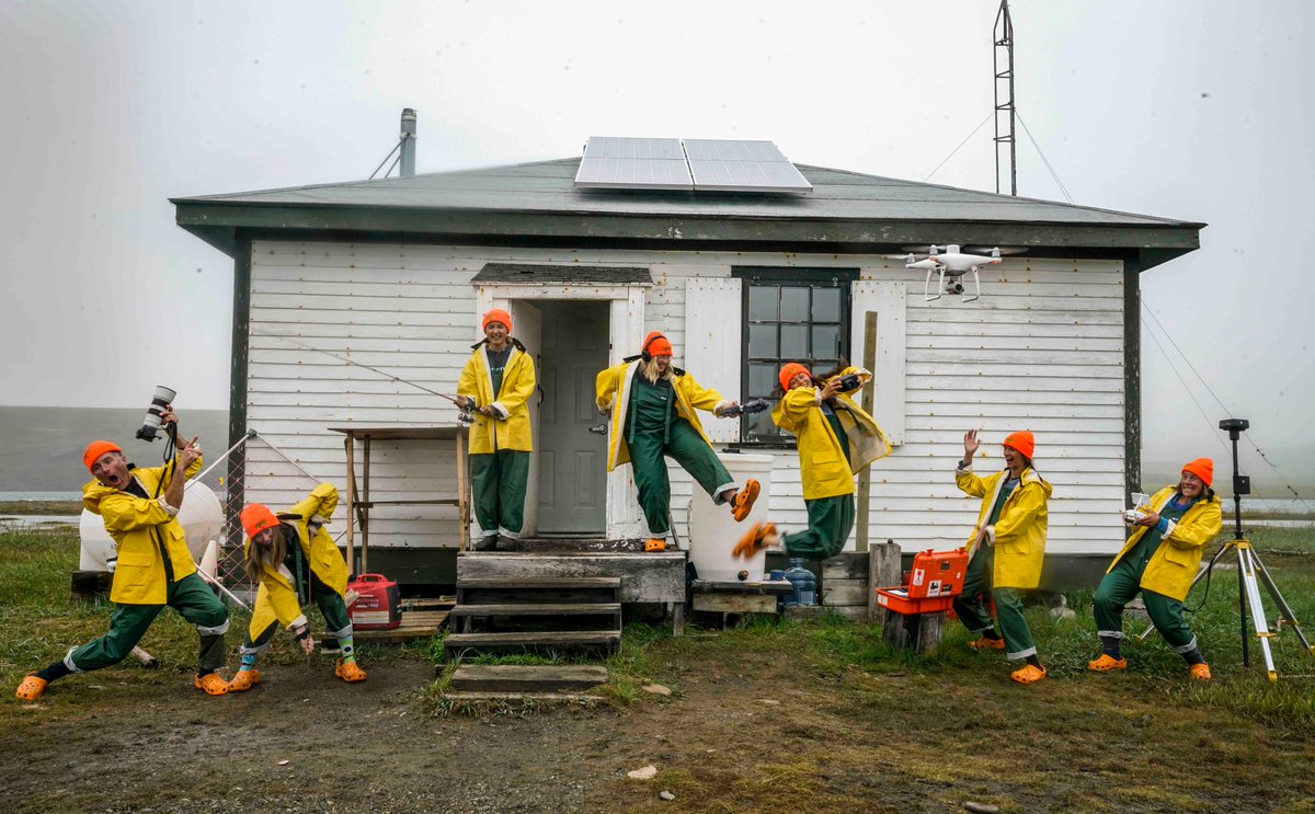 Team Shrub (@teamshrub) on Twitter photo Final days to apply for the Tundra Time postdoc to work on tundra plant phenology change over time at UEdinburgh!
Apply here by 28th Aug. 2023:
elxw.fa.em3.oraclecloud.com/hcmUI/Candidat…
More about the project:
teamshrub.com/tundratime-pro…
Other Team Shrub opportunities:
teamshrub.com/team-shrub/opp… Final days to apply for the Tundra Time postdoc to work on tundra plant phenology change over time at UEdinburgh!
Apply here by 28th Aug. 2023:
elxw.fa.em3.oraclecloud.com/hcmUI/Candidat…
More about the project:
teamshrub.com/tundratime-pro…
Other Team Shrub opportunities:
teamshrub.com/team-shrub/opp…