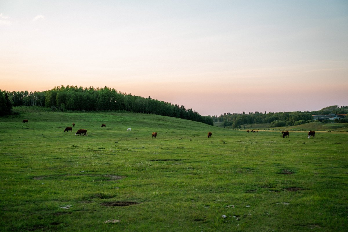 Aaron (@captainreimer) on Twitter photo 