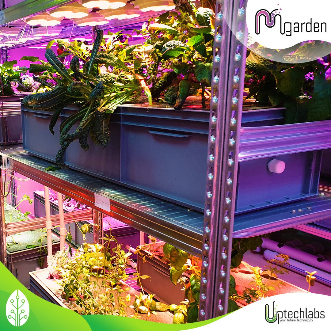 Uptechlabs tweet media