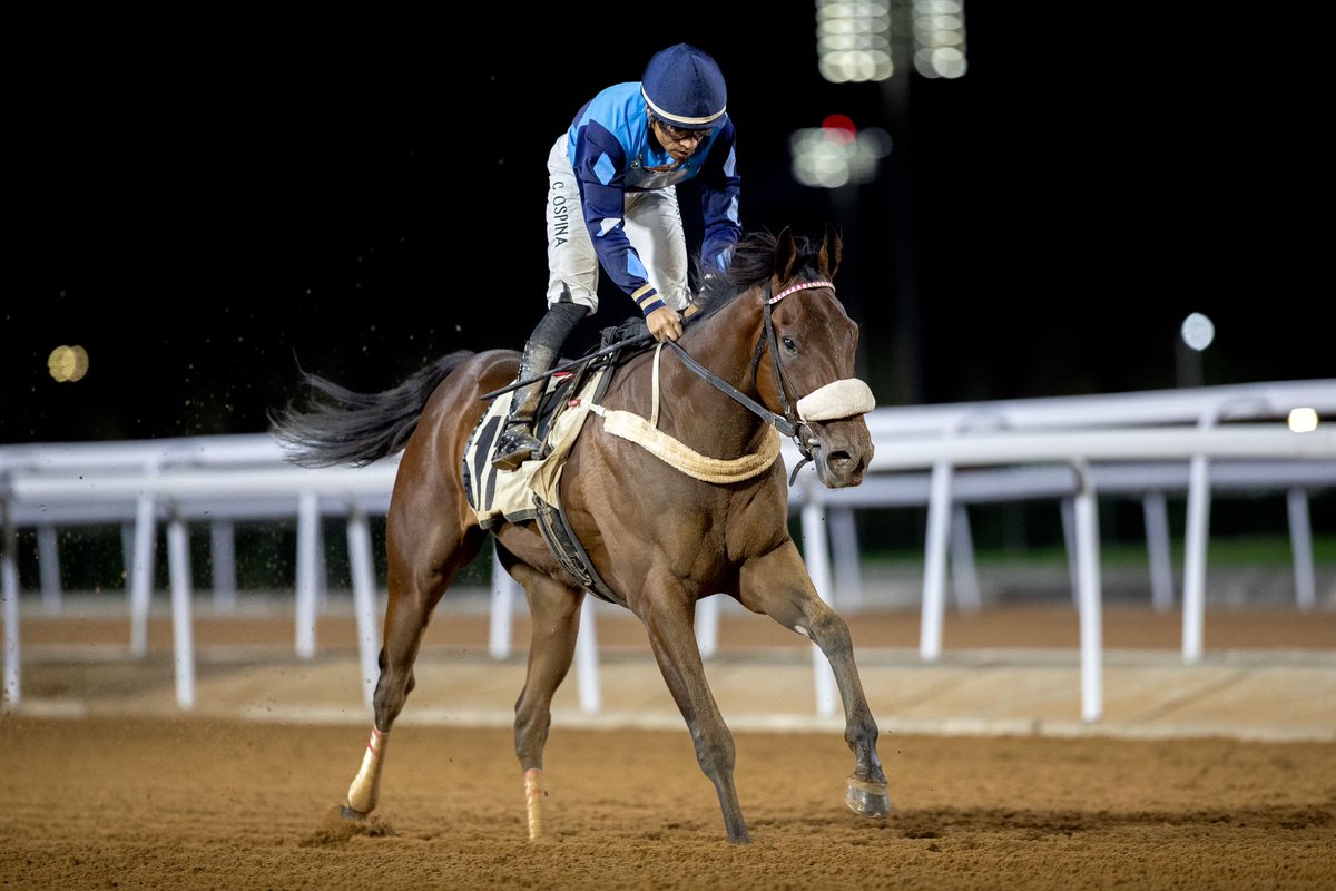 horsesnewsnet's tweet photo. #موسم_سباقات_الطائف 
#الحفل_36 
#الشوط_8
الفائز: المارموم قيت ابن ARROGATE 
المالك: نايف عقيل دغيم المطيري 
المدرب: بدن السبيعي 
الخيال: كاميلو اوسبينا 
المسافة: 2400 م 
الزمن: 2:42.70 
#صحيفة_الفروسية https://t.co/gDdb4DCbJk