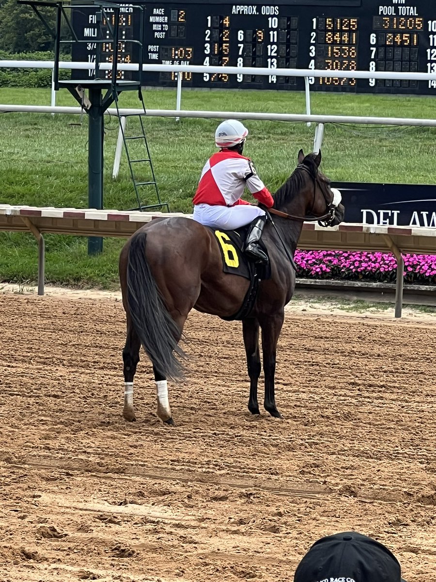 MegHalterEsq's tweet photo. Carol Cedeno with Giuseppe for @KellyRubley Race 2 @DelParkRacing Congrats!  #carolcedenofanclub 🐎🐎🐎👏🏻👏🏻👏🏻💪💪💪👑👑👑 https://t.co/0FCCvbyRhD