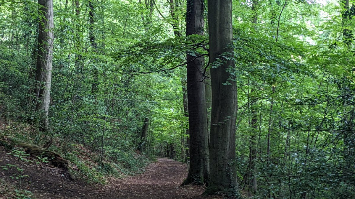 Dan Raven-Ellison tweet media