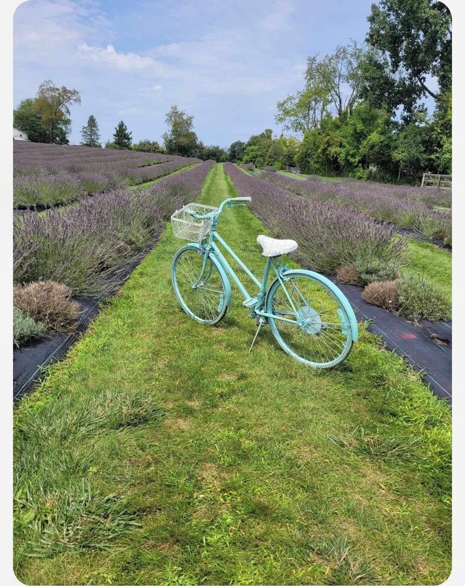 Stonegate HC tweet media