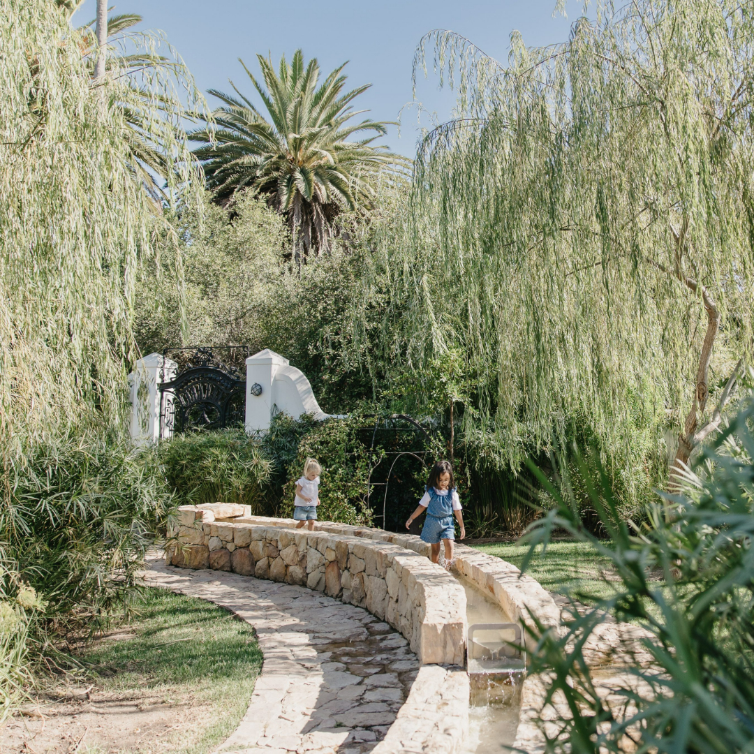 WTM_Africa's tweet photo. At @SpierWineFarm, there is plenty to delight the entire family. Kids enjoy tasting grape juice while parents' sample award-winning wines at the lakeside Tasting Room.
For more info go to: https://t.co/sgh0n40WiE
#WTMAfrica #IdeasArriveHere #Luxury #Events #Spier #Vineyards https://t.co/JaYgDfm6p0