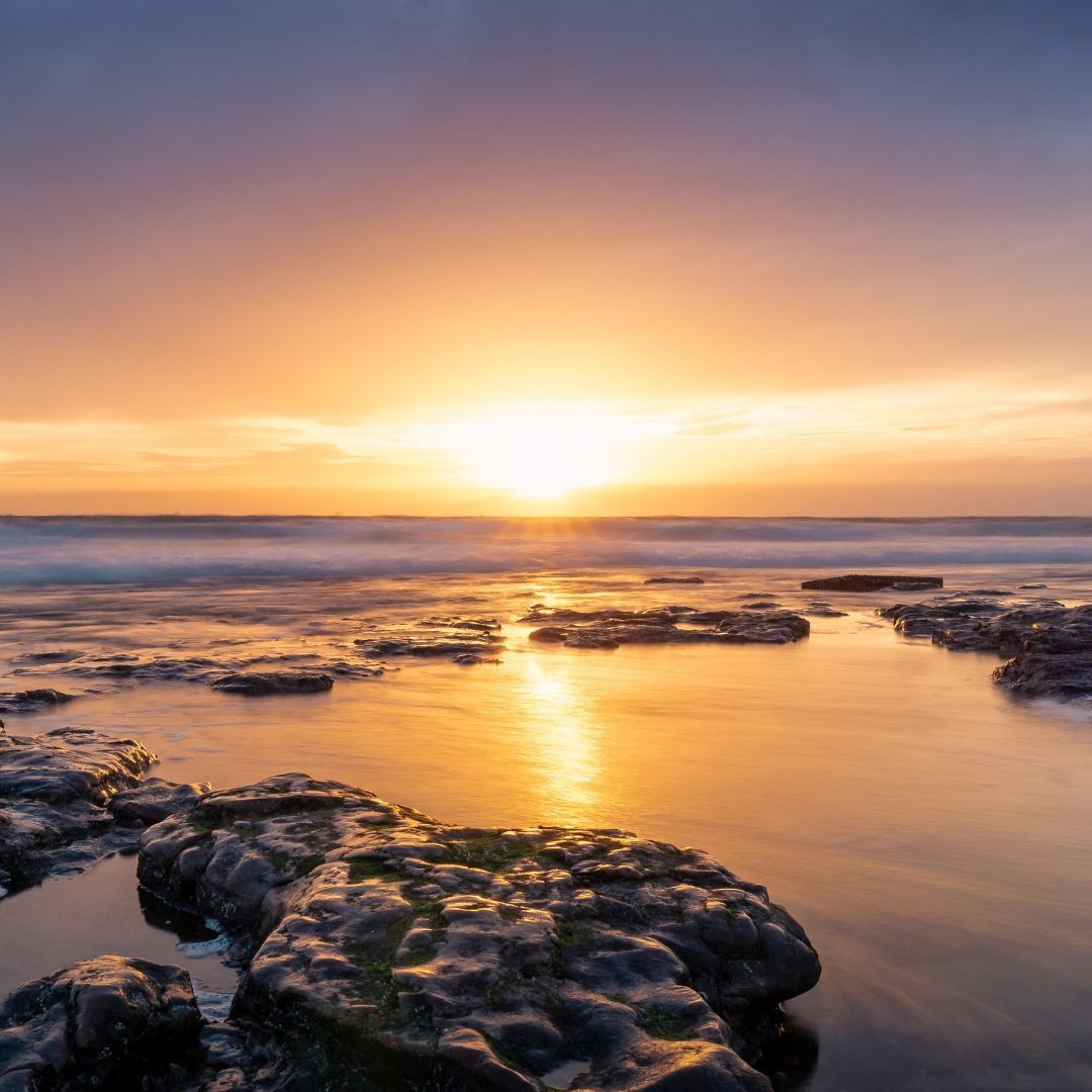 hautsdefrance's tweet photo. [Cette semaine sur Instagram]

A #Audresselles, #Beaurevoir, #Tardinghen et #Lille ! Les plus belles photos des #hautsdefrance sont sur notre page #Instagram 👉 https://t.co/rrCw4qmutL

👏 Florian, Nohcab, Shaliomah &amp; Pierre 👏 https://t.co/w2DBqsnRv7