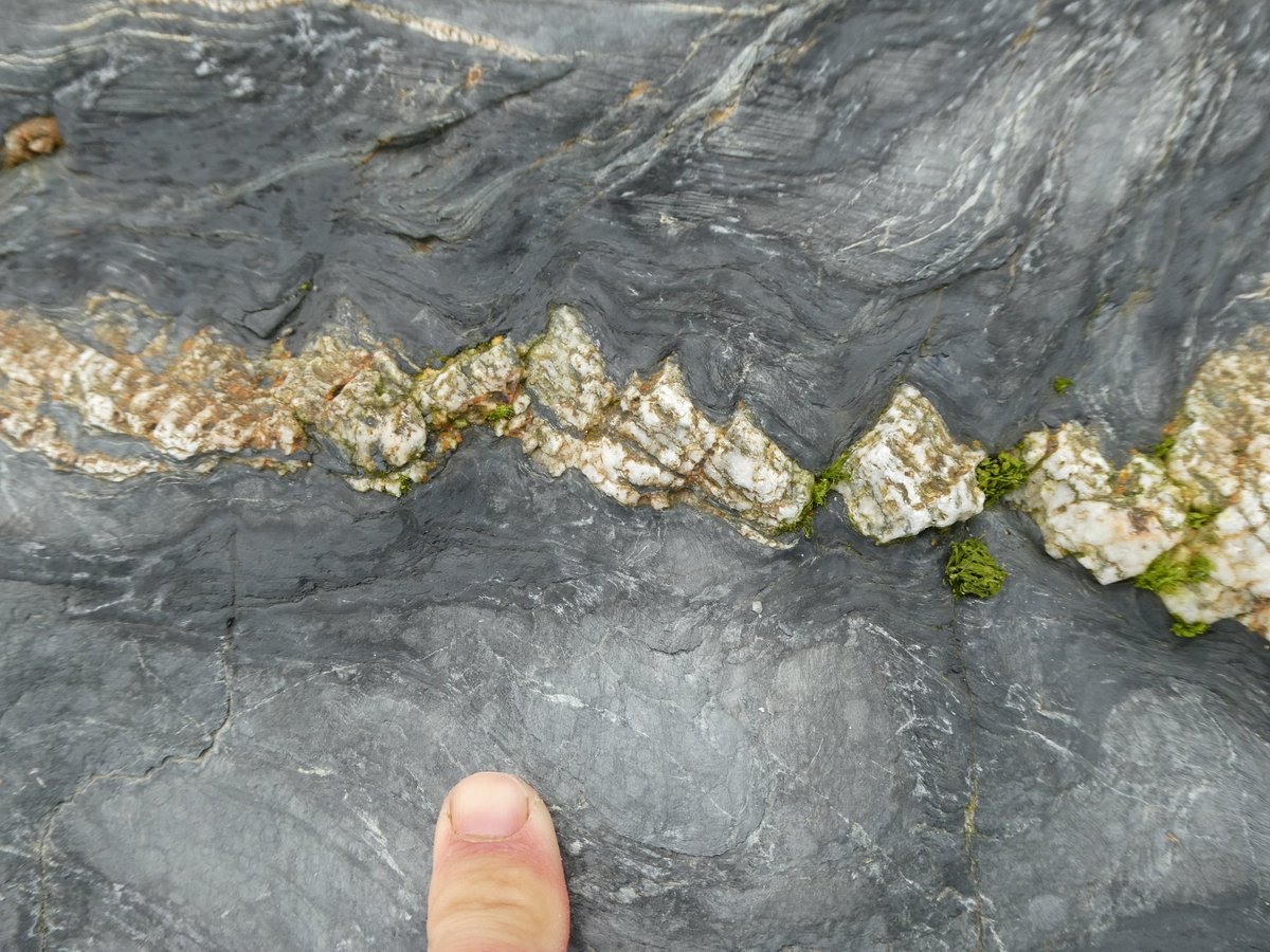Geology_Tim's tweet photo. A small snapshot of some of the geological features observed today.  I'll share a more comprehensive overview another time. Here's some domino type boudinage and folding in Devonian (Mylor slate?) deformed during the Variscan orogeny. Photo near Mounts Bay, Cornwall #geology https://t.co/x3B15FtYrC