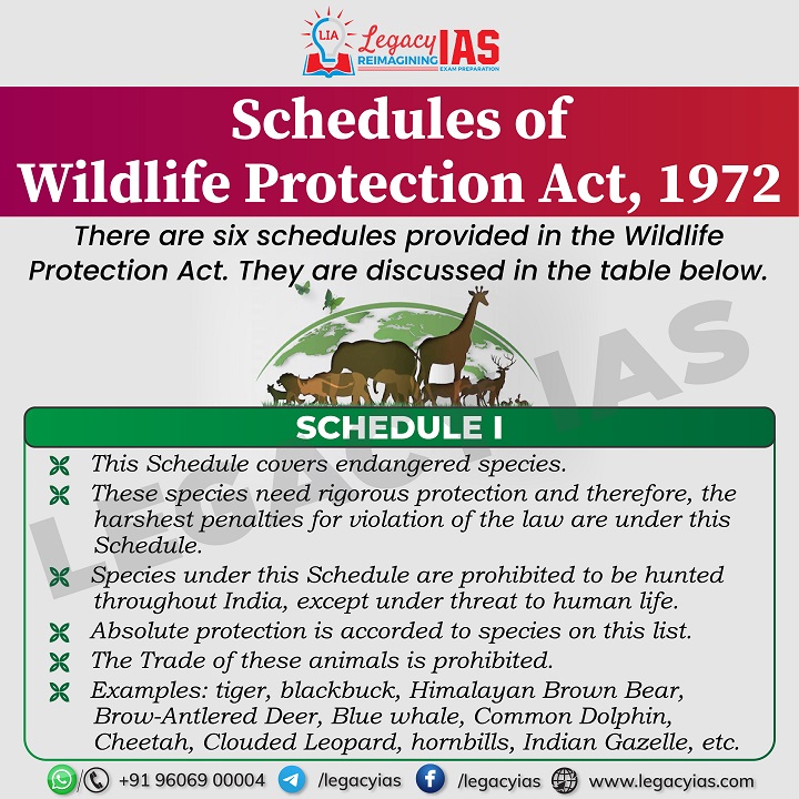 Legacy_ias's tweet photo. Schedules of #WildlifeProtectionAct 1972 !!
Learn about different schedules that classify and provide protection to various species, ensuring the preservation of India's rich wildlife heritage.
#WildLife #WildLifeAct #1972Act #UPSCExam #ConservationEffort #UPSCExam #LegacyIAS https://t.co/RmulsXyaiI
