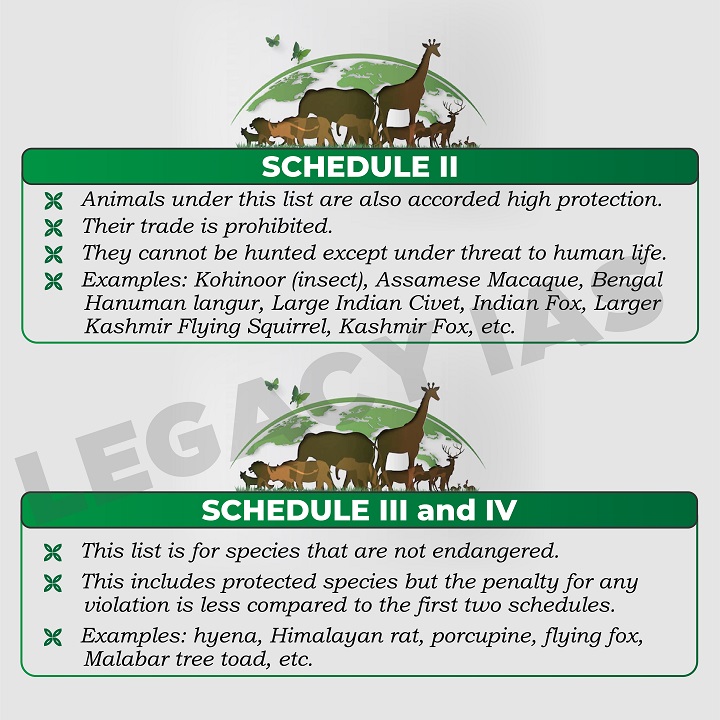 Legacy_ias's tweet photo. Schedules of #WildlifeProtectionAct 1972 !!
Learn about different schedules that classify and provide protection to various species, ensuring the preservation of India's rich wildlife heritage.
#WildLife #WildLifeAct #1972Act #UPSCExam #ConservationEffort #UPSCExam #LegacyIAS https://t.co/RmulsXyaiI