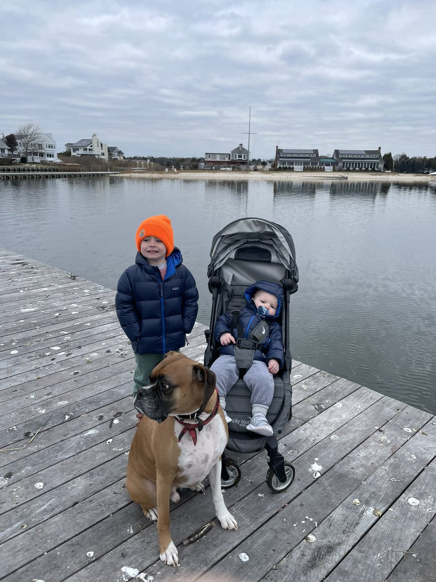 KTHopkinsMD's tweet photo. Happy national dog day! #nationaldogday 

Our 6 year old boxer, Finley, is our boy’s best friend! https://t.co/FY03nU0QLm