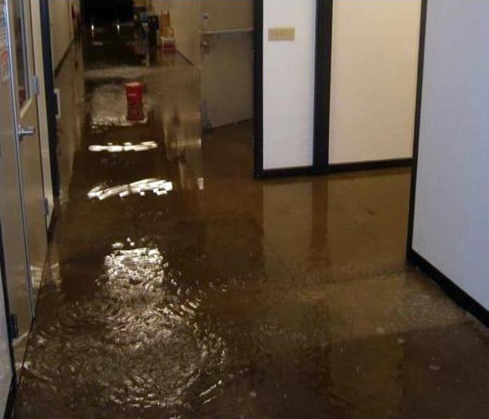 Whether you need help with emergency flood damage, mold or your upholstery cleaned, you can depend on SERVPRO of Central Phoenix. ow.ly/RiYV50PCW4N #SERVPROTeamPhoenix #disasterrecovery #damagecleanup