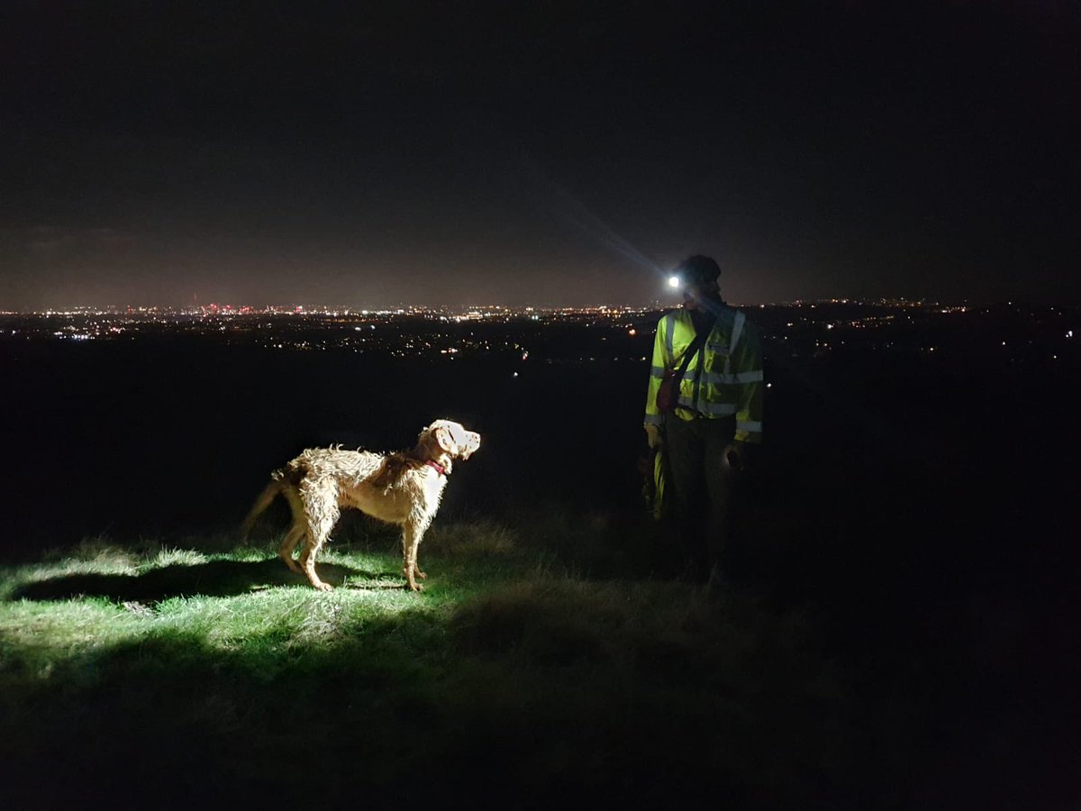 CheshireSar's tweet photo. Meet Tilly - our trainee search dog 🐶  #InternationalDogDay https://t.co/SEpm11GXL2