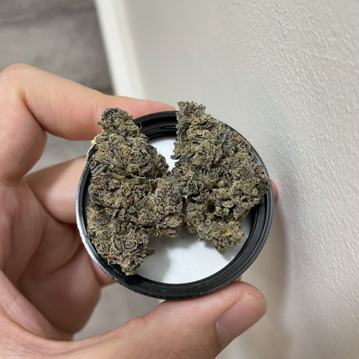 Decided to splurge on <a href="/AvantBrands/">Avant Brands | TSX: AVNT</a> Purple Rain, only to wonder… where did the terps and moisture go? 
⚠️ ERROR 404 NOT FOUND ⚠️

Such a let down 👎🏼 Hand-grinding this was always a pleasure for its sweet candy notes and tasty burn… officially in the market for some 🍭 strains