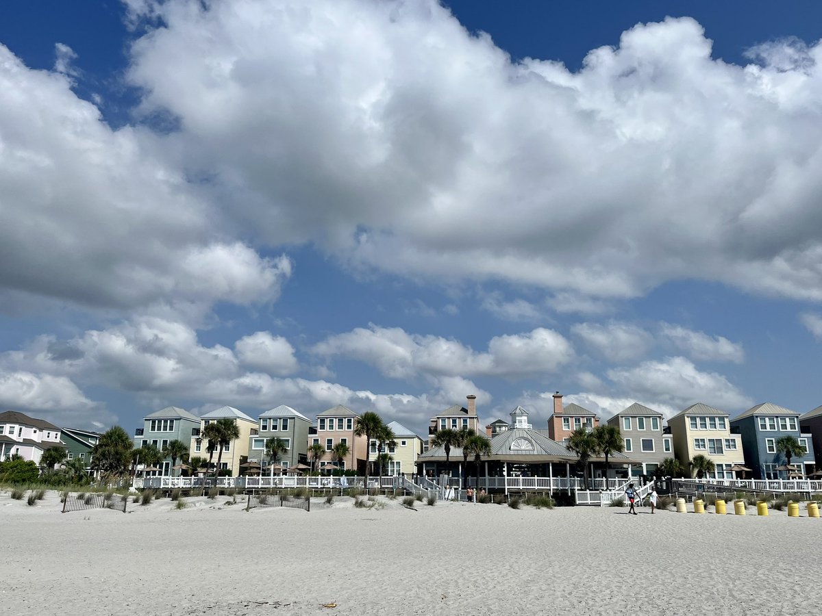 Janet Back tweet media