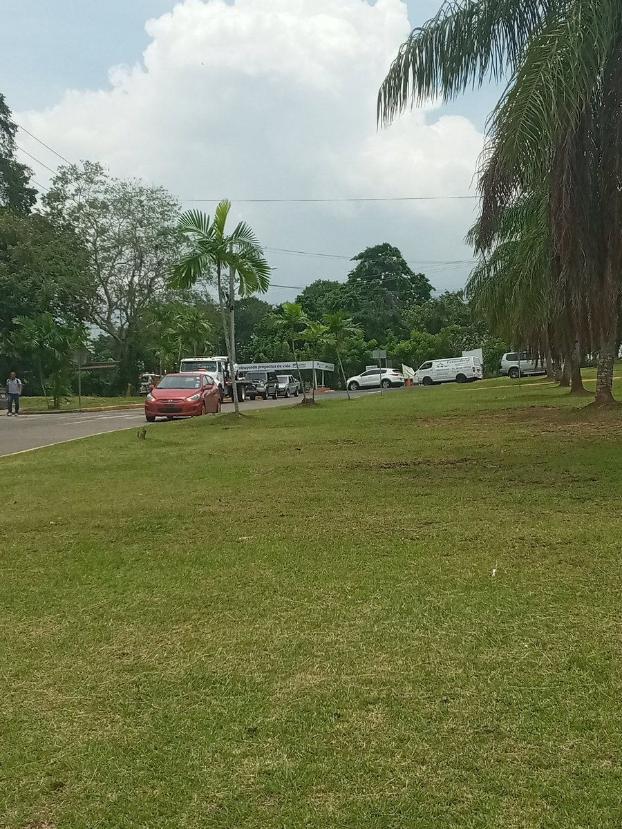 VictorRM16's tweet photo. Señores de las grúas sean serios, que en un reten 3 o 4 gruas ya se ve la ancia de coimas que tienen y pa rematar no saben ni disimular un día después del primer grupo de pagos de quincena de la @ContraloriaPma no es posible que en todo el mes no hacen nada para el final hacerlo. https://t.co/mSptpixLRk