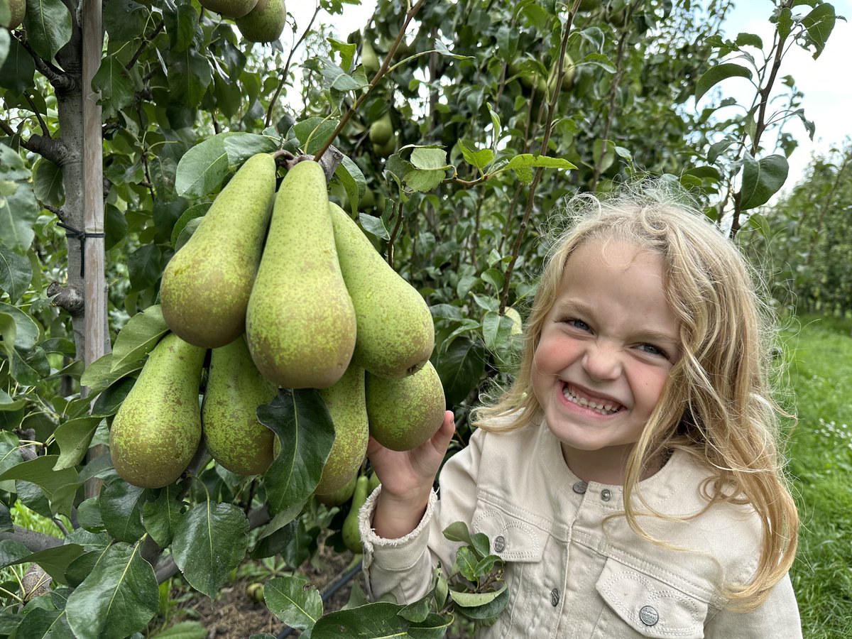 Yorick Leeuwis tweet media