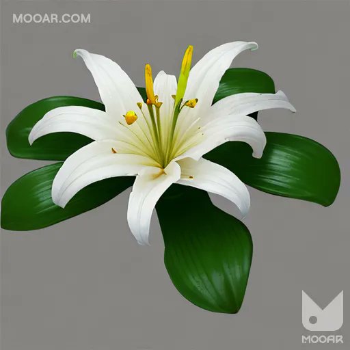 WhiteWh74966542's tweet photo. #MOOARFlower #MOOAR https://t.co/7I651sjEDL