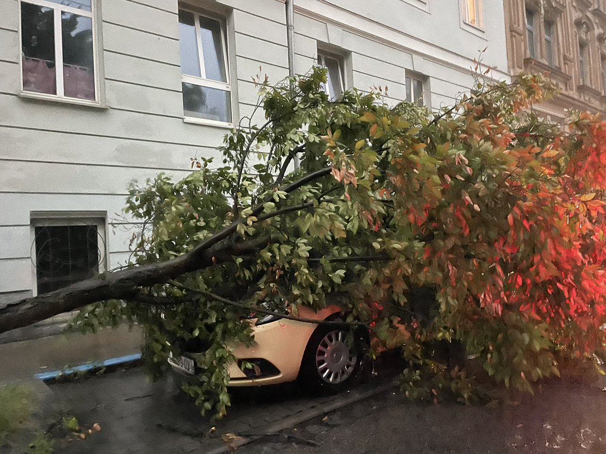 Ruperta Lichtenecker tweet media