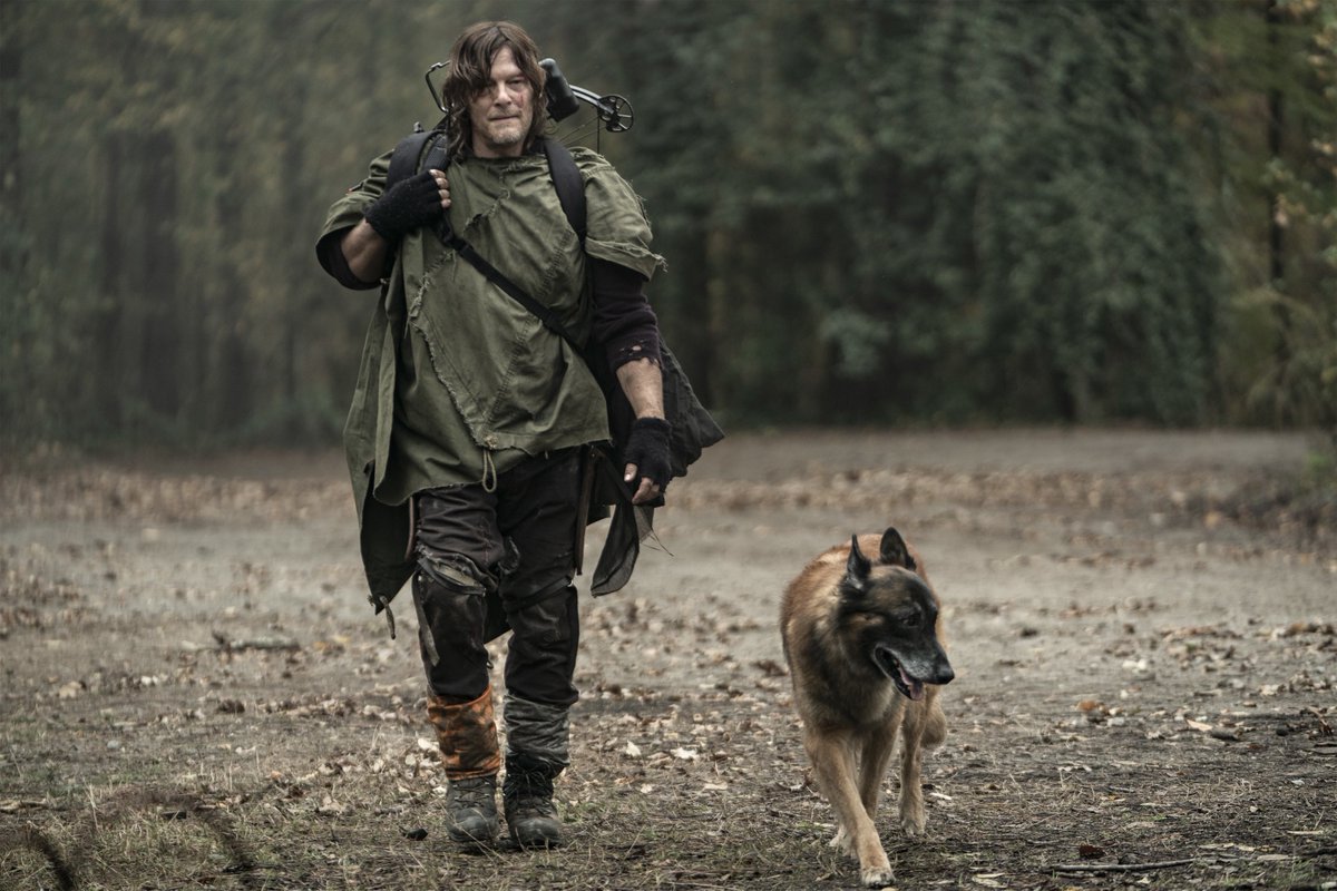 Today we celebrate the goodest boy from <a href="/WalkingDead_AMC/">The Walking Dead</a>, Dog. 

#NationalDogDay