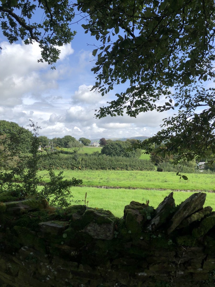 🌱Karen🌱 tweet media