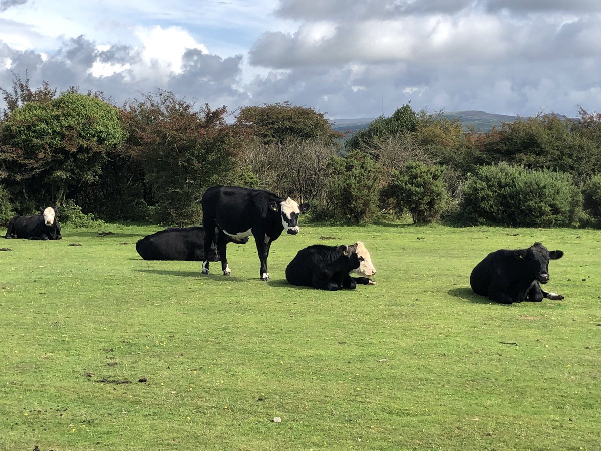 🌱Karen🌱 tweet media